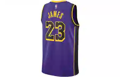 Jordan Swingman Jersey Purple