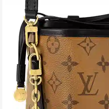 LOUIS VUITTON NOE Purse