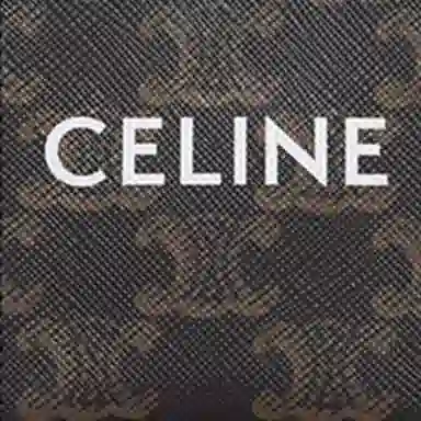 Celine Triomphe Canvas Mini Tote