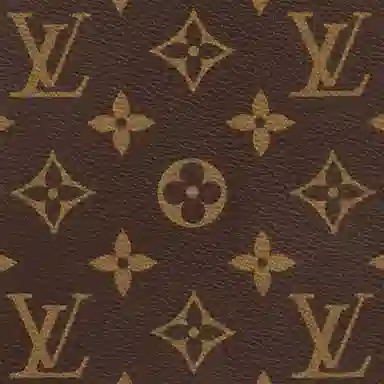 LOUIS VUITTON Audio Case