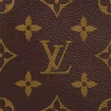 Louis Vuitton Carryall PM Brown