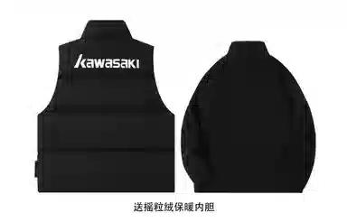 Kawasaki Logo