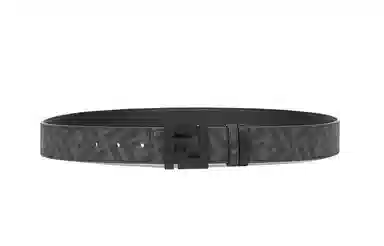 Fendi Belt
