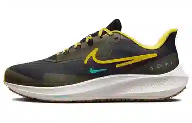 Nike Pegasus Turbo Shield Brown