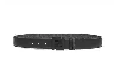 Fendi Belt
