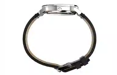 Timex Waterbury TW2W15000