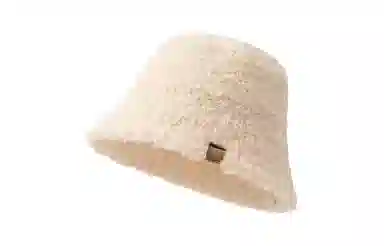 INS