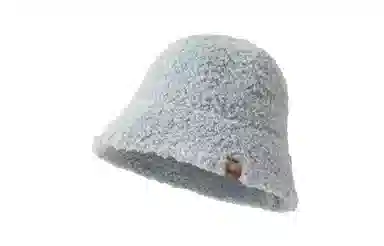 INS