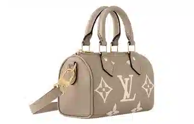 Louis Vuitton Speedy Nano