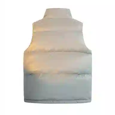 鸭鸭 纯色休闲单排扣立领无帽羽绒加厚马甲 女款