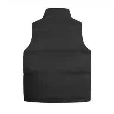 鸭鸭 纯色休闲单排扣立领无帽羽绒加厚马甲 女款