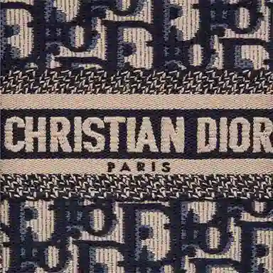 Dior Book Tote Mini Blue