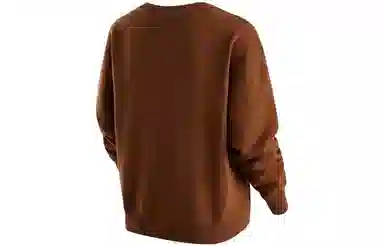 Jordan Sweatshirt Brown
