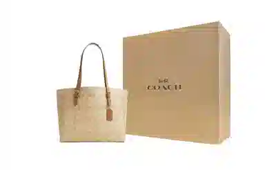 COACH Mollie 34 Tote