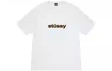 Stussy FW23 SS-LINK TEE ST