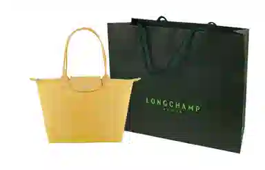 Longchamp Le Pliage Green 28