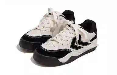 Feiyue