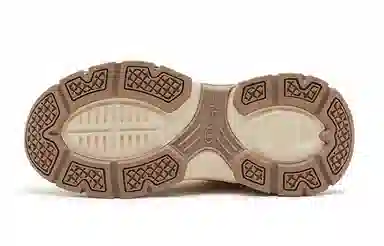 Champion Retro Sports