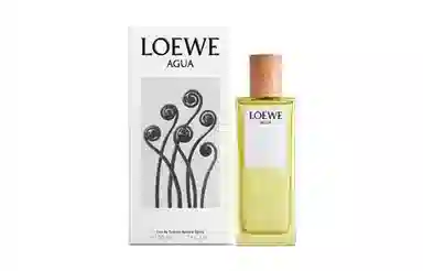 LOEWE EDT 50ml100ml150ml