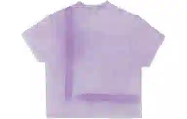 Gallery Dept. FW23 Purple Tee