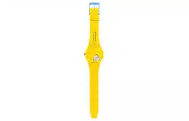 Swatch The Simpsons SO29Z134