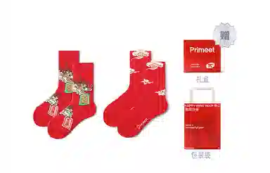 Primeet 2