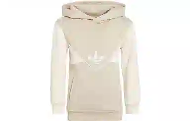 adidas Adicolor Hoodie Set