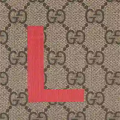 Gucci Love Canvas Box Bag