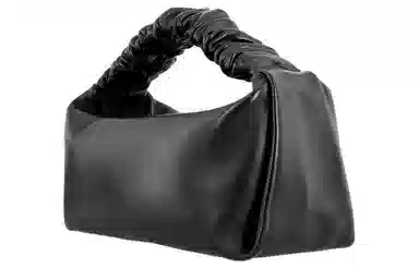 Alexander Wang Scrunchie Bag