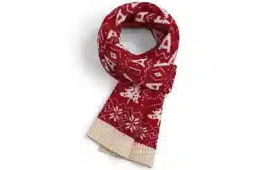 优幽兰 氛围感简约休闲护脖子防风防寒保暖雪花小众高级感 绒线围巾 女款