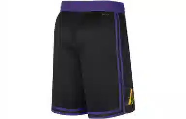 Nike Los Angeles Lakers City Edition 2023/24