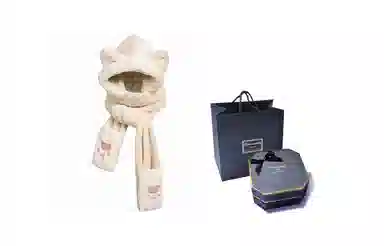 FireMonkey