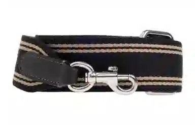 COACH Cargo Logo