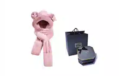 FireMonkey