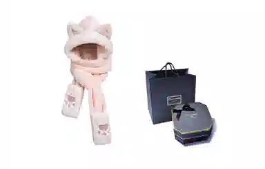 FireMonkey