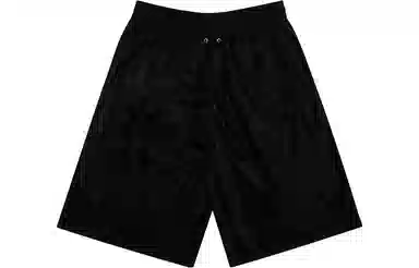 TEAM WANG FW23 STAY Shorts