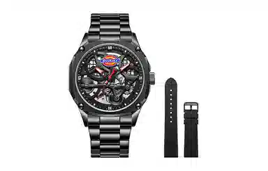 Dickies 30 220M60LYXCL-469