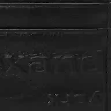 alexander wang