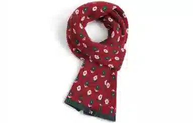 优幽兰 氛围感护脖子防风防寒保暖 绒线围巾 女款