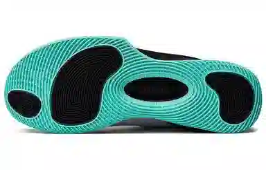 Jordan Ultra Fly 2 Low