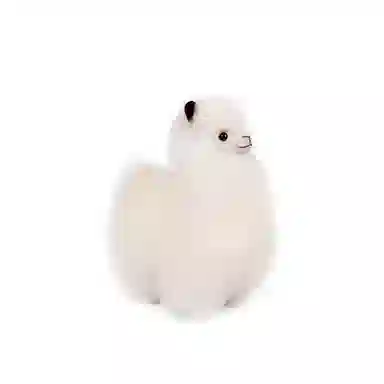 BBFAT ALPACA S