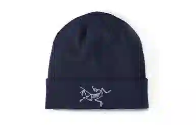Arcteryx