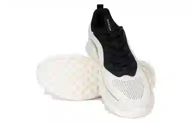Anta