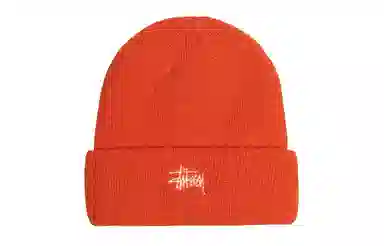 Stussy Basic Cuff Beanie