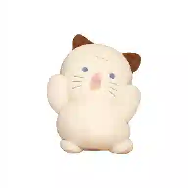 ins 254050cm 254050cm