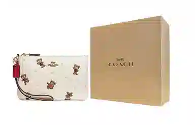 COACH Wristlet 19 White