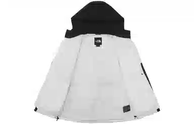 The North Face 550 Down Jacket White