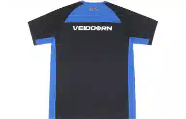 VEIDOORN T
