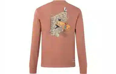 adidas originals City Skate Long Sleeve Tee T