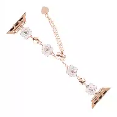 biaodaige iwatchs9applewatch